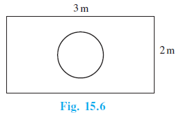 Page 310 Chapter 15 Class 10th Non-Rationalised NCERT 2019-20